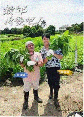 美食纪录节目山海食单封面